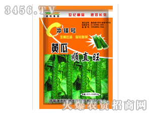 �������S���ֱ��