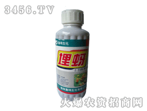 �������x��