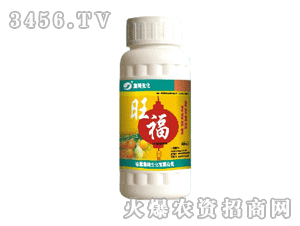 ������(f��)�����c