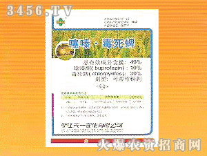 40%���-������WP