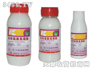 ��Ч�������