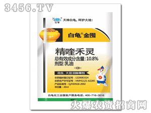 �������-��୺��`