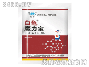 ����-ħ����