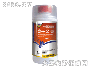 ����ǧ��