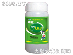 ����-��¶-����S