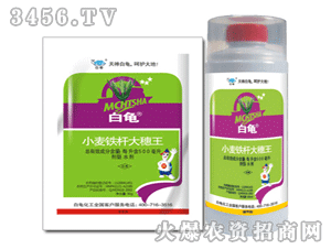 ����-С���F�U������