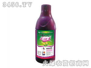 �����G���S