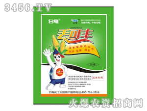 �����G���S(���׌���)