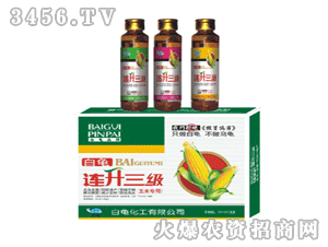 �����B������(j��)(���׌���)