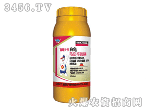 �����R��-�����ף�ä��1̖(h��o)��