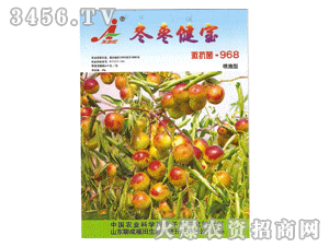 �Ӽ���-��������