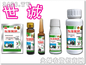 ���\��֬���~