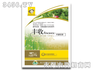 �S���~�ˌ���