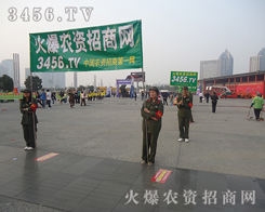 �A���ۺ�ļ��g(sh��)��(sh��)�����A�ڏ�(qi��ng)��(sh��)��չ��(hu��)����