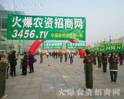 ���r�Y���̾W�Č��������o�V���r�Y�ИI(y��)��