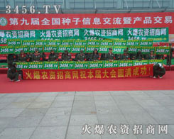 ���������Ƅٵķ���