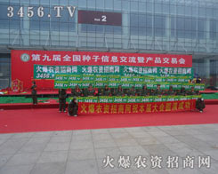 �𱬾W(w��ng)������ഺ������