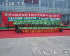 ���������˚ⱬ�һƬ��ɽ�˺��ğ��[����