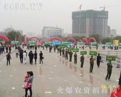 ������������ֱǰ