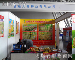 �Ϸ������N�I(y��)