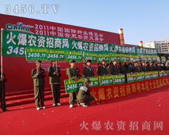 ������������ֱǰ