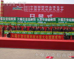 ����Ӣ����������