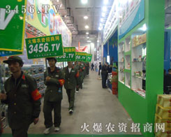 ���r(n��ng)�Y���̾W(w��ng)���Wҫ�����ۡ��������������ɽ�|ֲ����