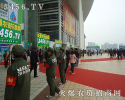 ����һ���w�����������