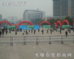 �҂��ڵ�ʮ�ߌ�ɽ�|ֲ�������ִ�һ��Ư����