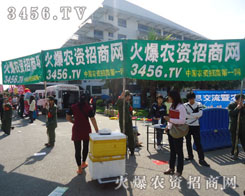 �ߵ������������҂���(ji��n)ͦ�ļ�����