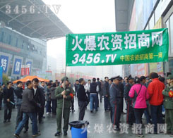 ����������ؓ����oԹ�o��