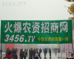 ����������������׏͕����_����Ļ