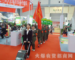 ����ͦ����Ӣ�˲��l(f��)