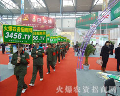 ���ƏV����(sh��)������(qi��ng)