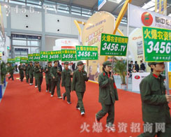 ���˲���(hu��)ͣ��ǰ�M(j��n)���_��