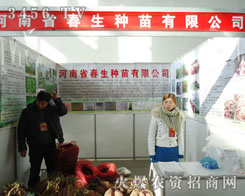 �����N��