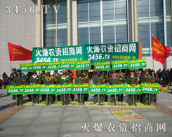 ������������ƽ��