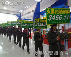 ���M����(zh��n)��·�������r(n��ng)�Y���̾W(w��ng)��꠲��˿s���ŗ�