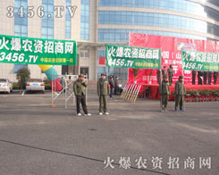 һ�l�Gɫ���L������β��ӳ