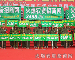 �󏊵�������͸����Զ�