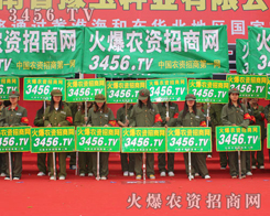 ������ԏ��ݵ�Ӱ���ռ�I�������Ľ��c