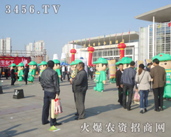 �ߴ�Ӣ���ľGɫ܊�b��ͨ��ģ�����(du��)���ҫ��