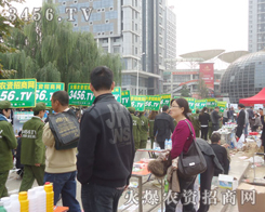 ���\��������ʯ���_�����¿಻���۵Ļ𱬈F(tu��n)�(du��)