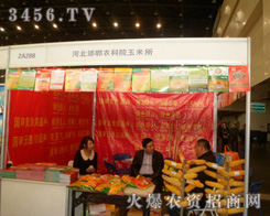 �ӱ������r(n��ng)��Ժ�S���N�۲�