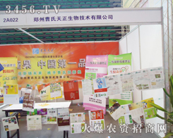 ���ݲ�����������