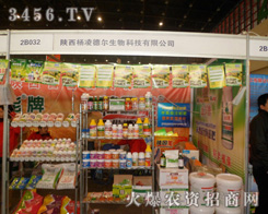 ���� �����Ƽ�