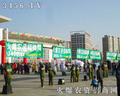 ������Ͷ���ǻ��r�Y�W(w��ng)�ƄٺͰl(f��)չ�ı���