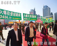 ɽ�|ֲ���������𱬾W(w��ng)����(chu��ng)�º��_���M(j��n)�е���