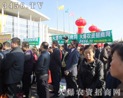 �𱬾W(w��ng)�Ԛ�ݰ�����������չʾ���ذ�����