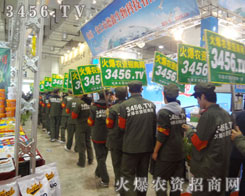 �𱬾W(w��ng)׌���Ҋ�Cһ֧̤��(sh��)�ϸɵĈF(tu��n)�(du��)